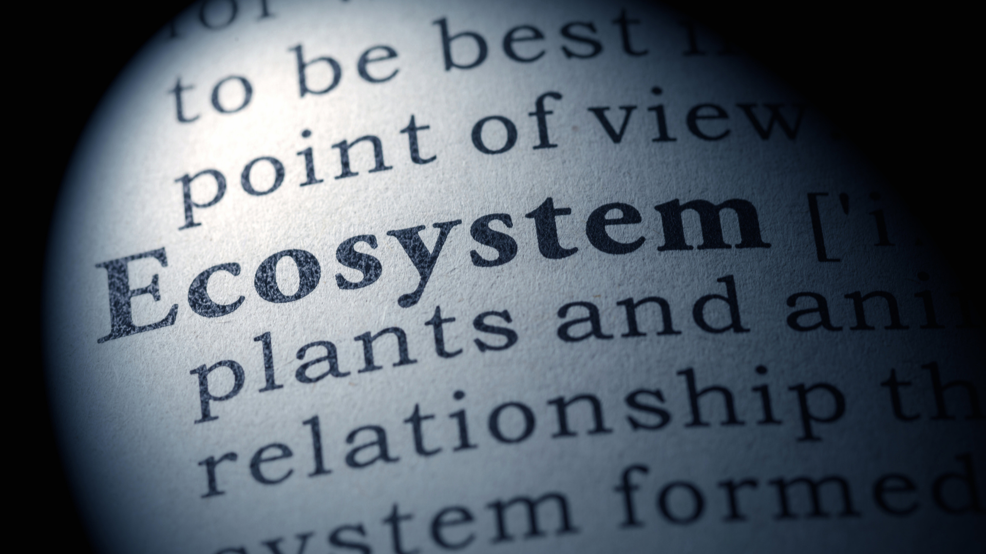 How Ecosystems Maintain Balance Through Natural Processes and Interactions